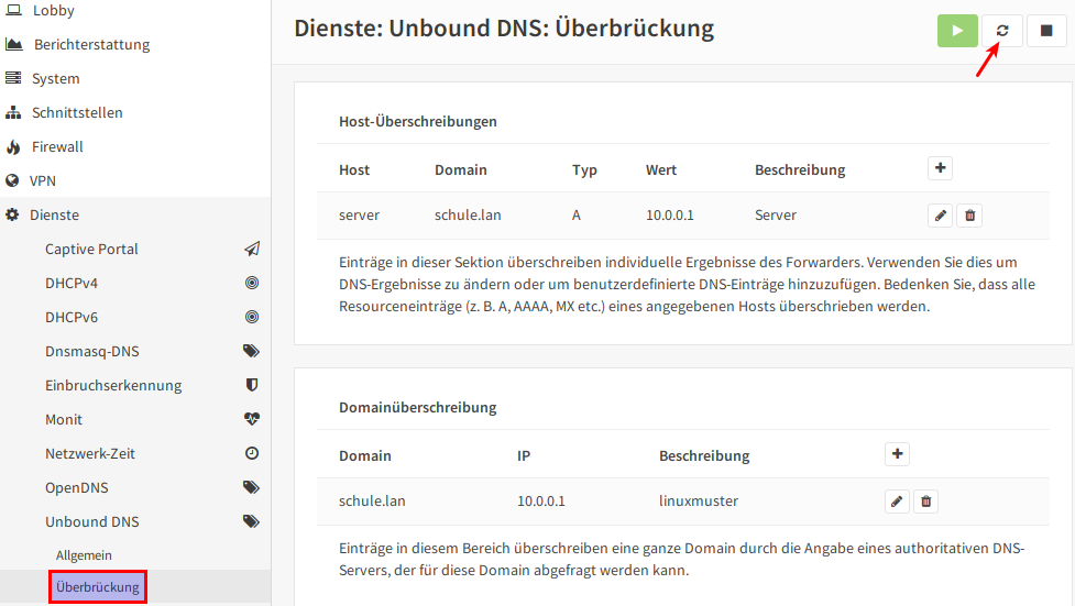 OPNsense Proxy Reload DNS